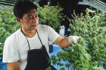 Why Multi-Site Cannabis Operators Should Standardize Lock and Key Protocols